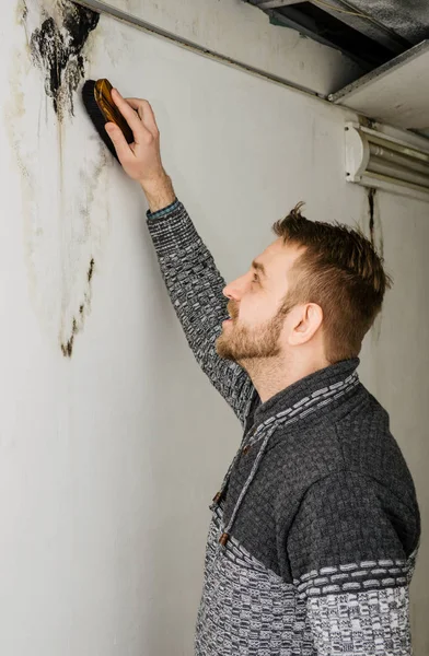 Bearded man removes black mold on the wall after leakage — Stock Image Bearded man removes black mold on the wall after leakage Stock Photo