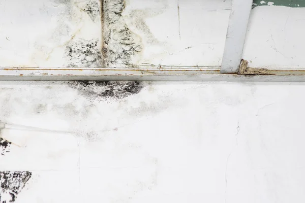 Velké mokré skvrny a černé plísně na zdi místnosti domácího po silný déšť a spousta vody — Stock fotografie