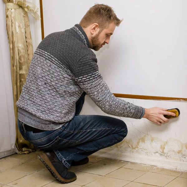 Bearded man removes black mold on the wall after leakage — Stock Image Bearded man removes black mold on the wall after leakage Royalty Free Stock Images