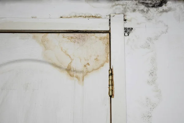 Big wet spots and black mold on the wall of the domestic house room after heavy rain and lot of water — Stock Photo, Image