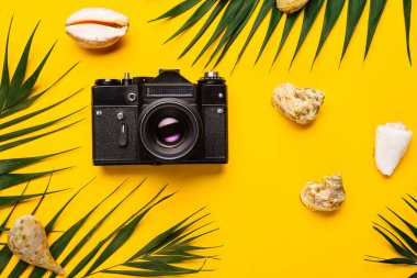 Palmiye yaprağı, deniz kabuklarını, kamera ile düz yatıyordu seyahat aksesuarları 