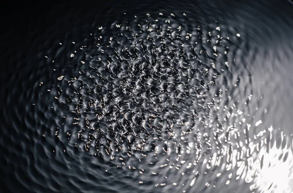 La texture de l'eau sous l'influence des vibrations en 432 hertz — Photo