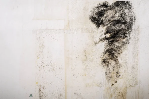 Büyük ıslak lekeleri ve siyah kalıp sonra şiddetli yağmur ve bol bol su iç house oda duvar