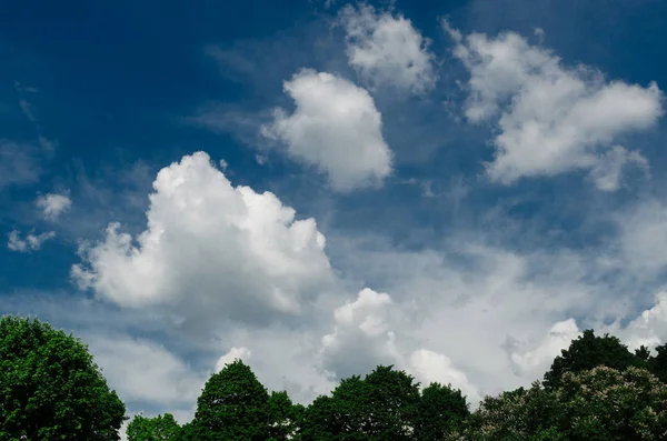 青い空に対して信じられないほど素晴らしい緑豊かな積雲雲 — ストック写真