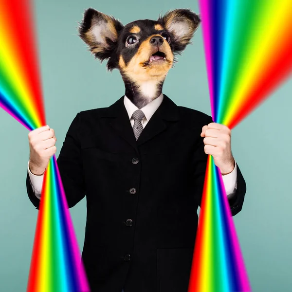 Psychedelic collage combining a man in a suit and a dog's head. The character holds a rainbow in his hands and looks up. The mouth is open in surprise.