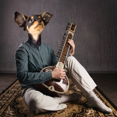 Psychedelic köpek sitar oynar. Komik kolaj. Hayvanları koruma konsepti.