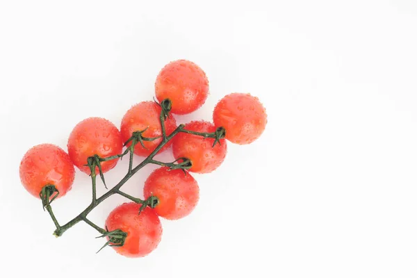 Tomates cherry maduros sobre una ramita sobre un fondo blanco — Foto de Stock