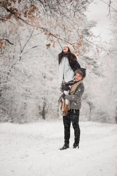 Den Unge Mannen Som Håller Hans Glada Fru Den Snötäckta — Stockfoto