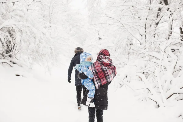 在白雪覆盖的公园里漫步的年轻家庭的背观 — 图库照片