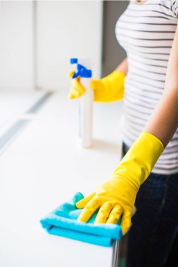 Close-up the young woman in gloves holding rag and window cleaner in hands near the window indoors clipart