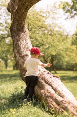 Bahçedeki ağaca yakın duran neşeli küçük çocuk