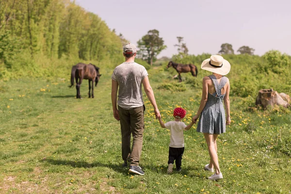 Achteraanzicht Van Jonge Familie Die Loopt Door Clearing Waarop Paarden — Stockfoto