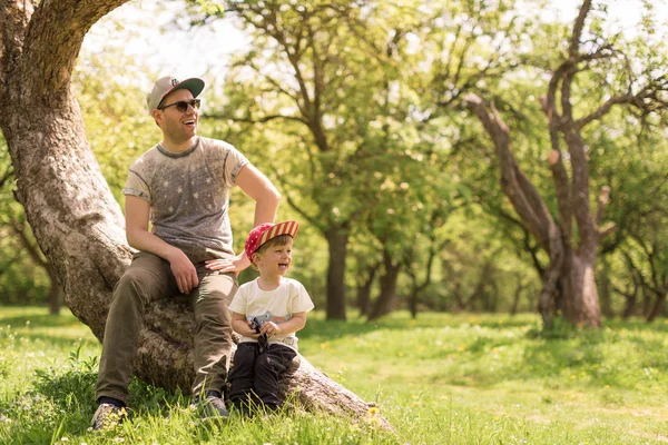 Niño Alegre Sentado Árbol Con Padre Feliz Jardín Mirando Lado — Foto de Stock