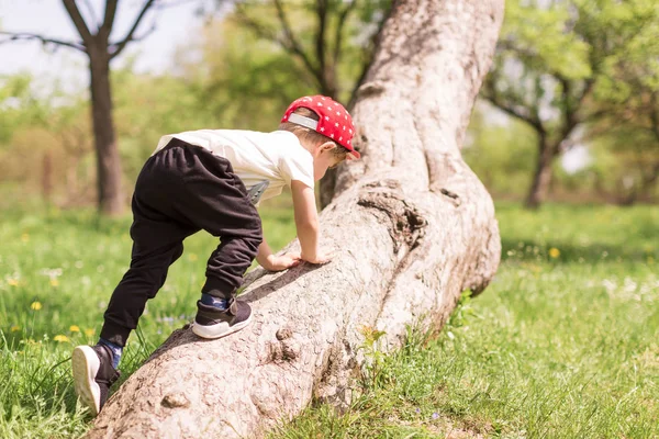 Vista Trasera Del Niño Que Está Trepando Árbol Jardín — Foto de Stock