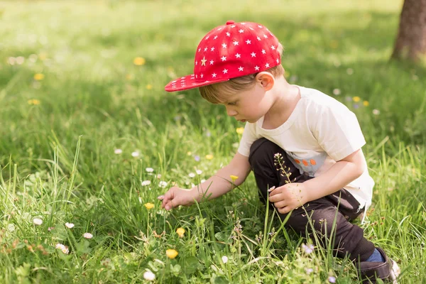 Side View Stylish Little Boy Who Sitting Outdoor Gathering Flowers Royalty Free Stock Photos