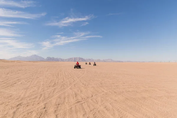 Back view of the people who are driving on the ATVs in the desert