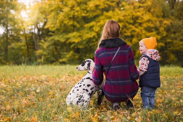 The little cute boy standing near elder sister and smiling on nature with their friend dalmatian dog
