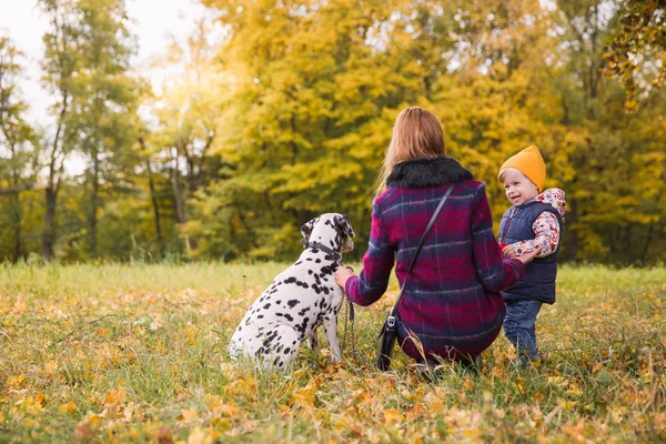 The little cute boy standing near elder sister and smiling to her on nature with their friend dalmatian dog