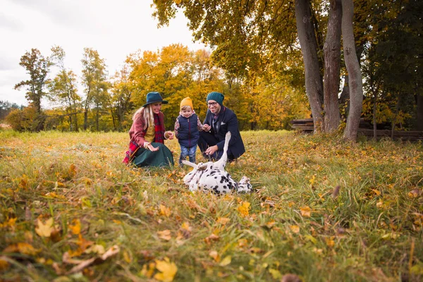 Fiatal Boldog Család Néztem Barátom Dalmát Kutya Park — Stock Fotó