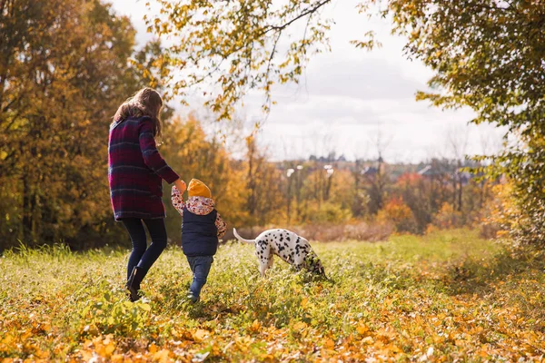 Hátulnézet Nővére Little Brother Aki Séta Parkban Barátom Dalmát Kutya — Stock Fotó