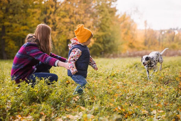 Side view of elder sister and little brother who looking at their friend dalmatian dog in the park