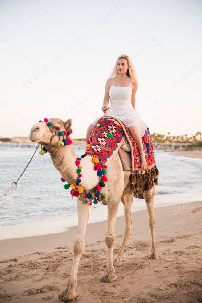 The beautiful young woman driving on a camel by the sea