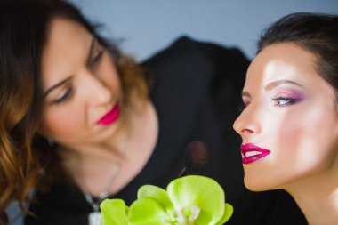 Güzel yüzünü kadının makyaj hangi makyaj sanatçı rouge geçerlidir.