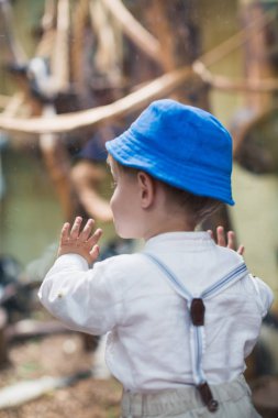 Küçük bir çocuk pencerenin duruyor ve içinde görünüyor