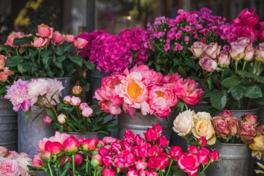 Güzel değişik çiçek fotoğrafçılık