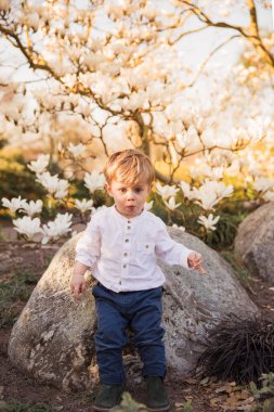Harika, güzel bir çocuk çocuk sürpriz bahçede bekleyen
