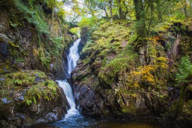 Güzel bir küçük şelale manzarası