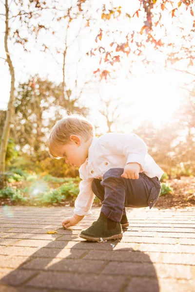 Foto Eines Schönen Konzentrierten Kleinen Jungen Der Garten Der Sonne — Stockfoto