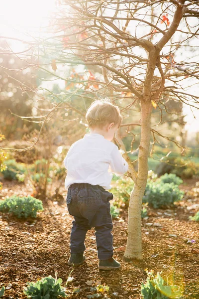 幸運な幸せな男の子の子供が庭で歩く — ストック写真