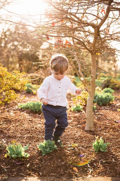 Vackra Underbara Angelägen Liten Pojke Promenader Trädgården Solskenet — Stockfoto