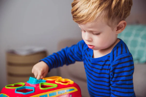 Ritratto Piccolo Ragazzo Concentrato Che Gioca Con Sviluppo Giocattoli Nella — Foto Stock