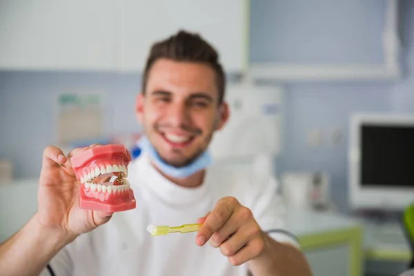 Male dentist smiling and holding a jaw teeth model at denatal office.