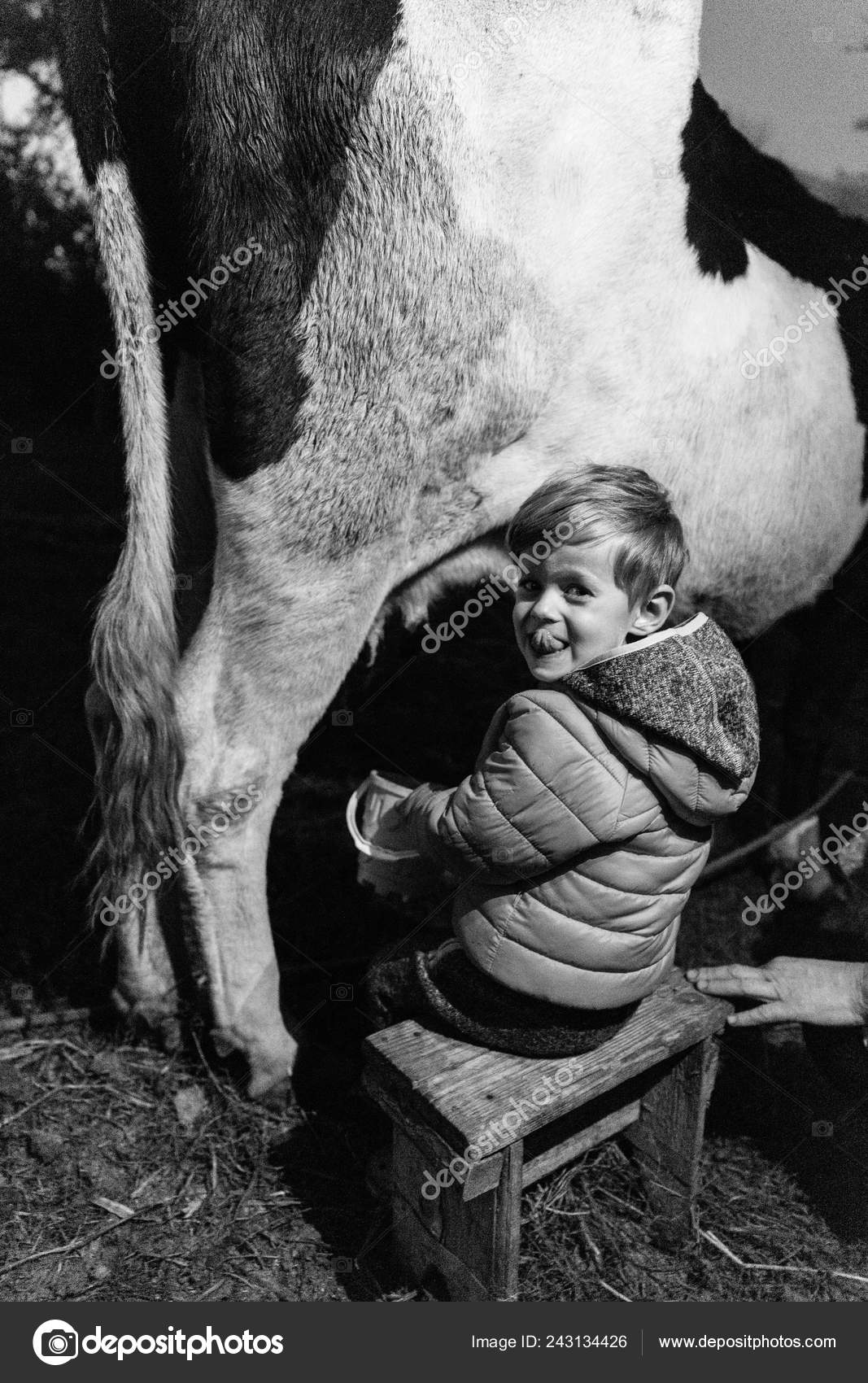 Funny Little Boy Sitting Outdoors Helping Milk Cow Stock Photo by ©MiraMstock 243134426 Funny Little Boy Sitting Outdoors Helping Milk Cow Stock Photo by ©MiraMstock 243134426