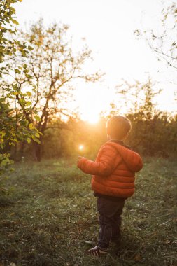 Çimenlerin üzerinde duran sevimli küçük çocuk arkadan görünüm