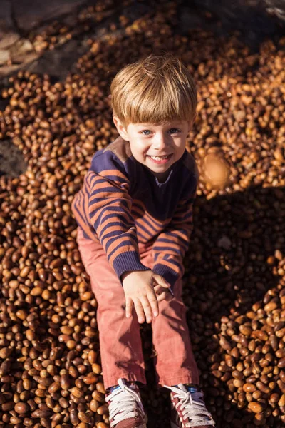 Niño Feliz Sentado Las Bellotas Aire Libre —  Fotos de Stock