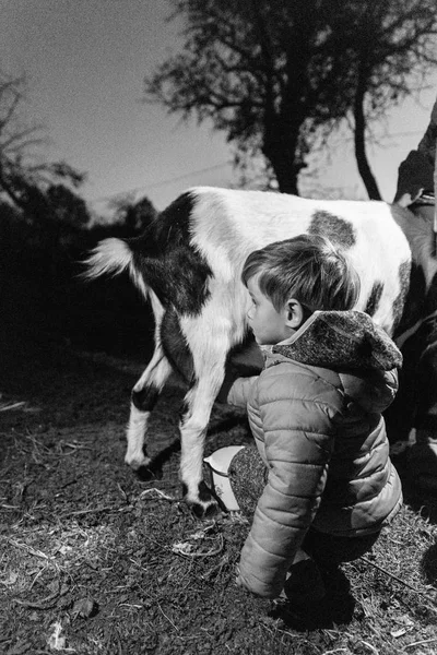 Vista Lateral Del Niño Que Está Sentado Aire Libre Ayudando —  Fotos de Stock