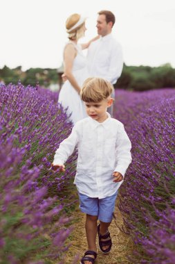 Küçük tatlı çocuk lavanta tarlasında yürüyor ve anne babası arka planda sarılıyor.