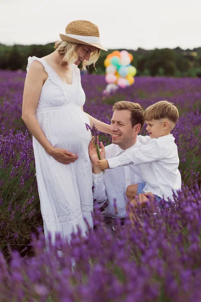 Femeia Gravidă Fericită Familie Câmpul Lavandă — Fotografie, imagine de stoc