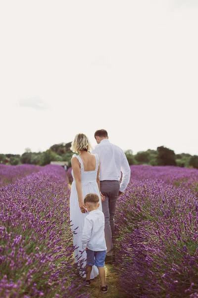 Achteraanzicht Van Gelukkige Familie Die Het Lavendelveld Loopt — Stockfoto