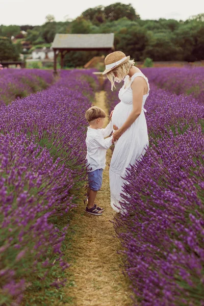 幸せな妊婦はラベンダー畑に子供と一緒に立っています — ストック写真