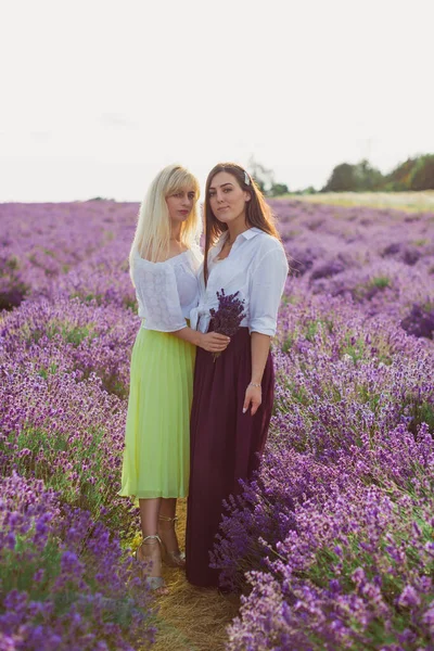 Güzel genç arkadaşlar lavanta tarlasında duruyorlar.