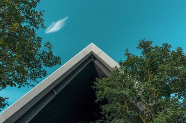 Berlin Temmuz Rüzgar