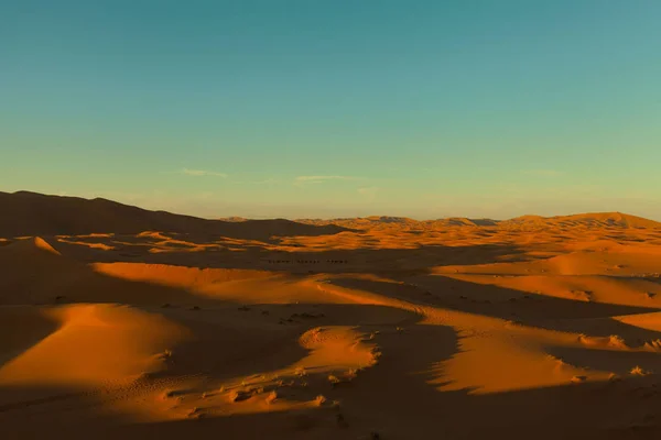 Sahara — Photo