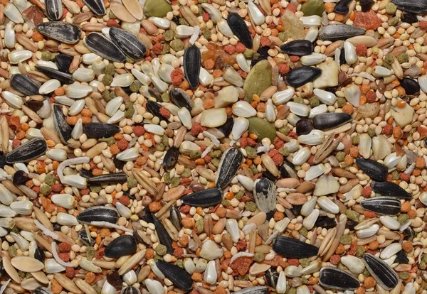 Background textures of bird seed bought from a local pet store.