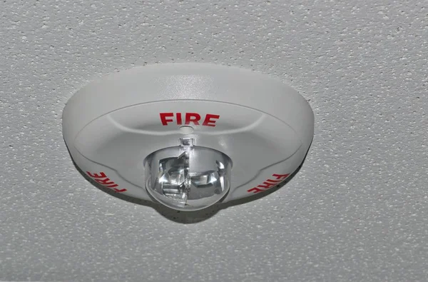 带闪光灯的圆形灰色火警报警器 附在办公室天花板上 — 图库照片#