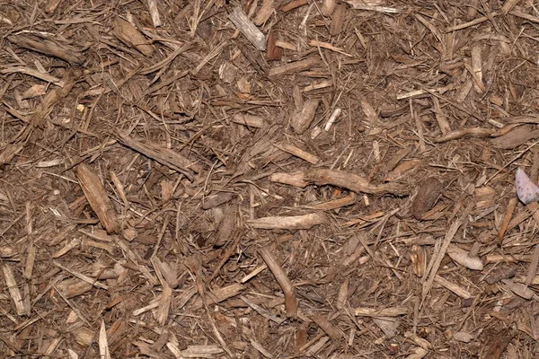 Aus Geschredderten Hackschnitzeln Wurde Gartenmulch Dieser Gemeinsame Mulch Ist Ein — Stockfoto